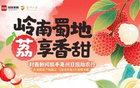 國足行李多疑，開箱解惑封面評(píng)