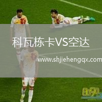 科瓦棟卡VS空達