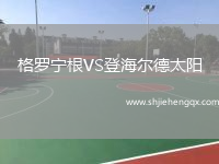 格羅寧根VS登海爾德太陽