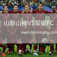 山形山神VS愛媛FC