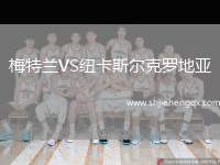 梅特蘭VS紐卡斯?fàn)柨肆_地亞