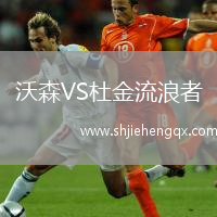 沃森VS杜金流浪者