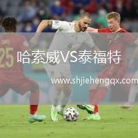 哈索威VS泰福特