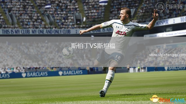 斯伯丁VS斯坦福
