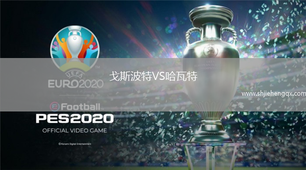 戈斯波特VS哈瓦特
