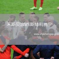 禾斯貝治VS斯特利費(fèi)寧