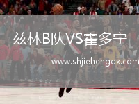 茲林B隊(duì)VS霍多寧