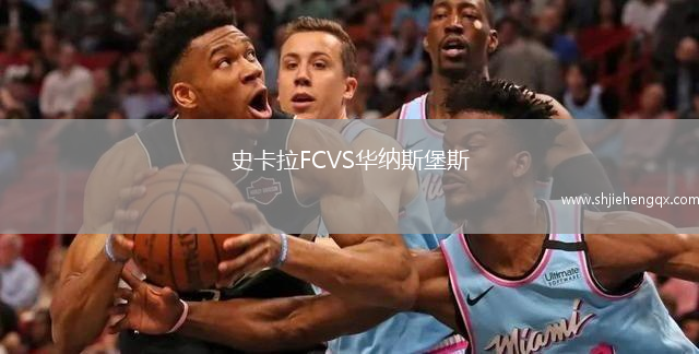 史卡拉FCVS華納斯堡斯