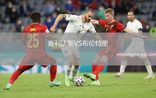 夏利法斯VS布倫特里