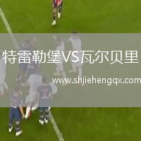 特雷勒堡VS瓦爾貝里