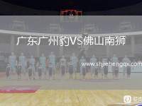廣東廣州豹VS佛山南獅