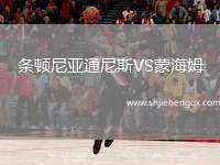 條頓尼亞通尼斯VS蒙海姆