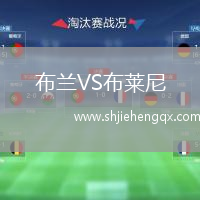 布蘭VS布萊尼
