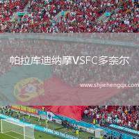 帕拉庫(kù)迪納摩VSFC多奈爾