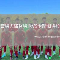 普埃夫洛努埃沃VS卡斯圖埃拉