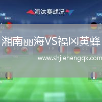 湘南麗海VS福岡黃蜂