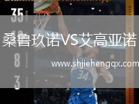 桑魯玖諾VS艾高亞諾
