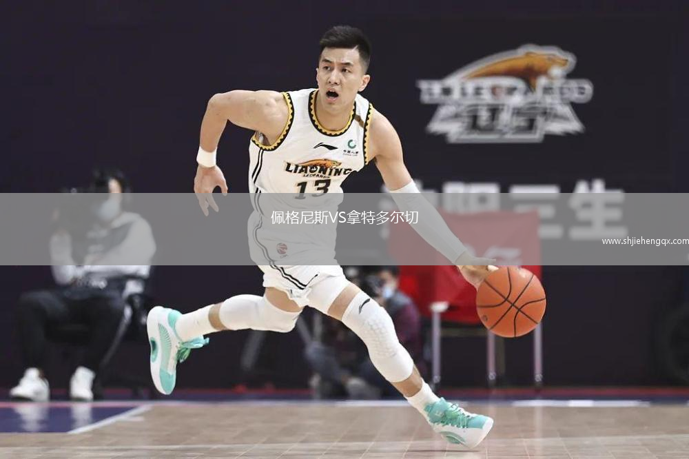 佩格尼斯VS拿特多爾切