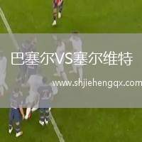 巴塞爾VS塞爾維特