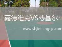 嘉德維克VS費(fèi)基爾