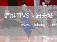 諾維奇VS卡迪夫城