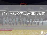 門興格拉德巴赫VS霍芬海姆