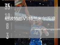 紐波特郡VS特蘭米爾流浪