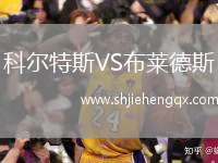 科爾特斯VS布萊德斯