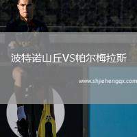 波特諾山丘VS帕爾梅拉斯