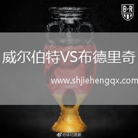 威爾伯特VS布德里奇