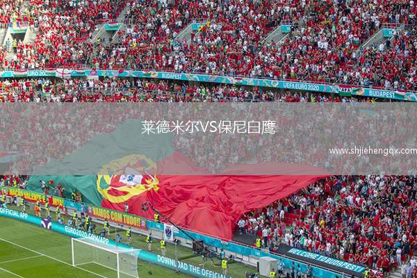 萊德米爾VS保尼白鷹