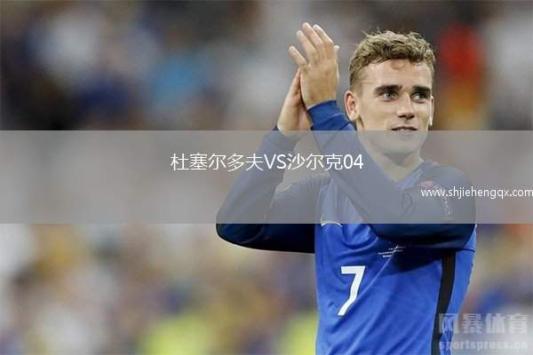 杜塞爾多夫VS沙爾克04