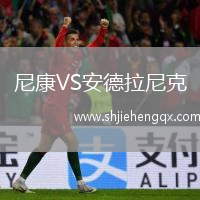 尼康VS安德拉尼克