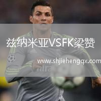 茲納米亞VSFK梁贊