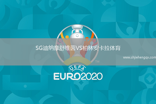 SG迪納摩舒維茵VS柏林安卡拉體育