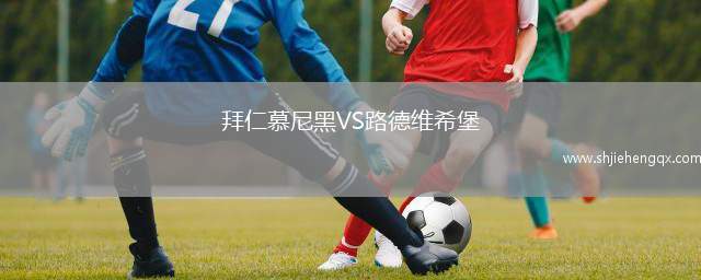 拜仁慕尼黑VS路德維希堡