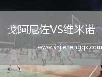 戈阿尼佐VS維米諾