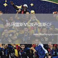 托馬雷斯VS波盧洛斯CF