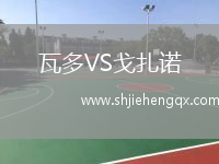 瓦多VS戈扎諾