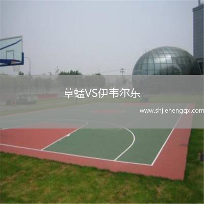 草蜢VS伊韋爾東