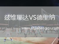 茲維耶達(dá)VS德里納