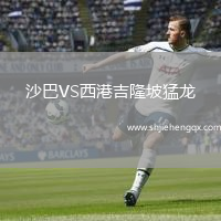 沙巴VS西港吉隆坡猛龍