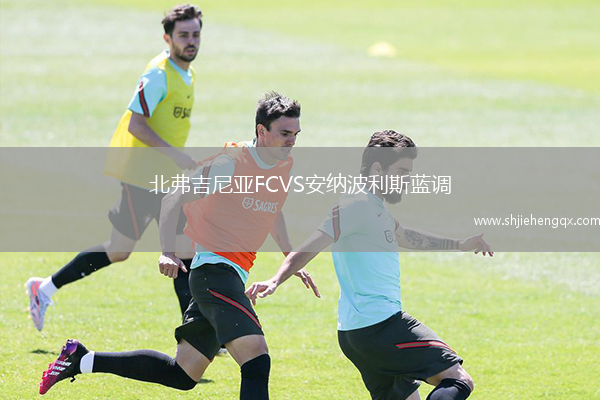 北弗吉尼亞FCVS安納波利斯藍(lán)調(diào)
