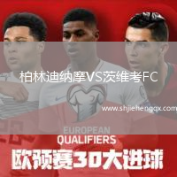柏林迪納摩VS茨維考FC