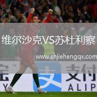 維爾沙克VS蘇杜利察