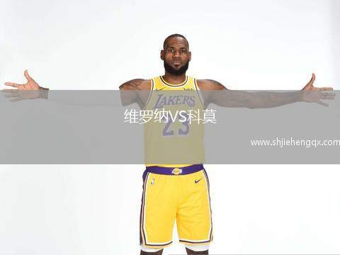 維羅納VS科莫