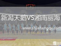 新潟天鵝VS湘南麗海
