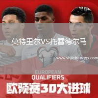 莫特里爾VS托雷德?tīng)栺R