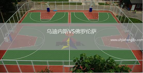 烏迪內斯VS佛羅倫薩