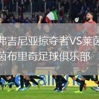 弗吉尼亞掠奪者VS萊茵布里奇足球俱樂部